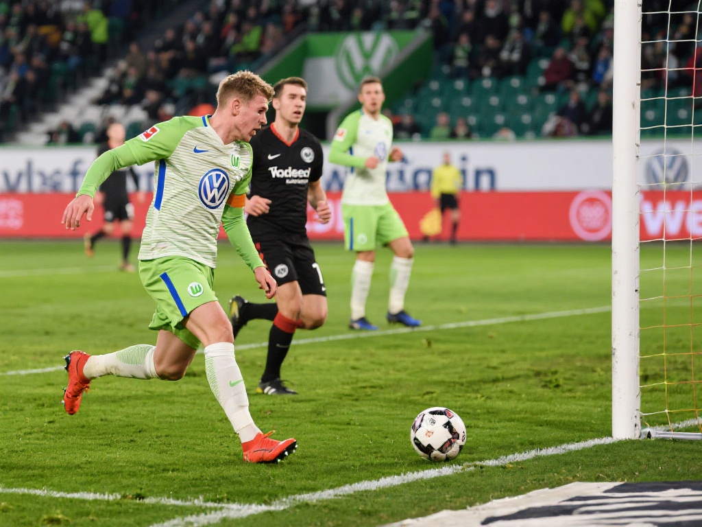 球迷振奋 球迷振奋