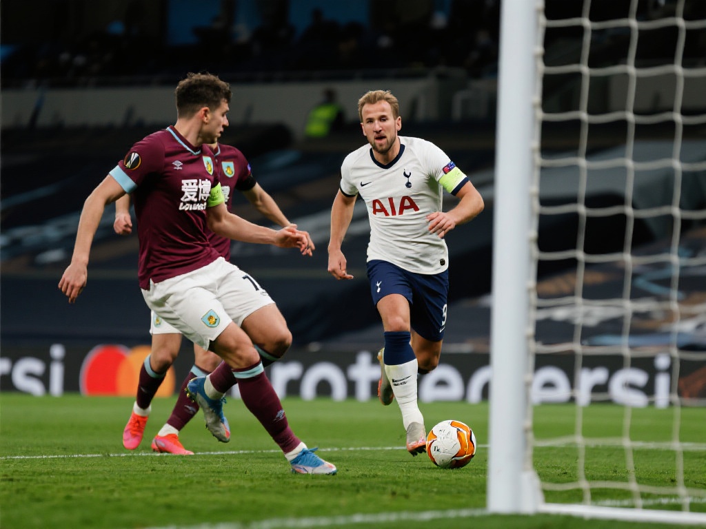 这样的描述 这样的描述